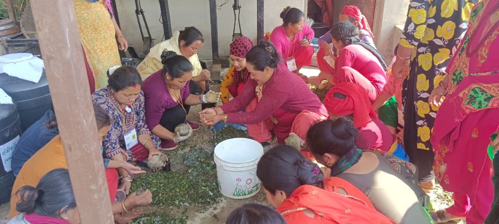 Women processing green herbs in circle, agriculture programme